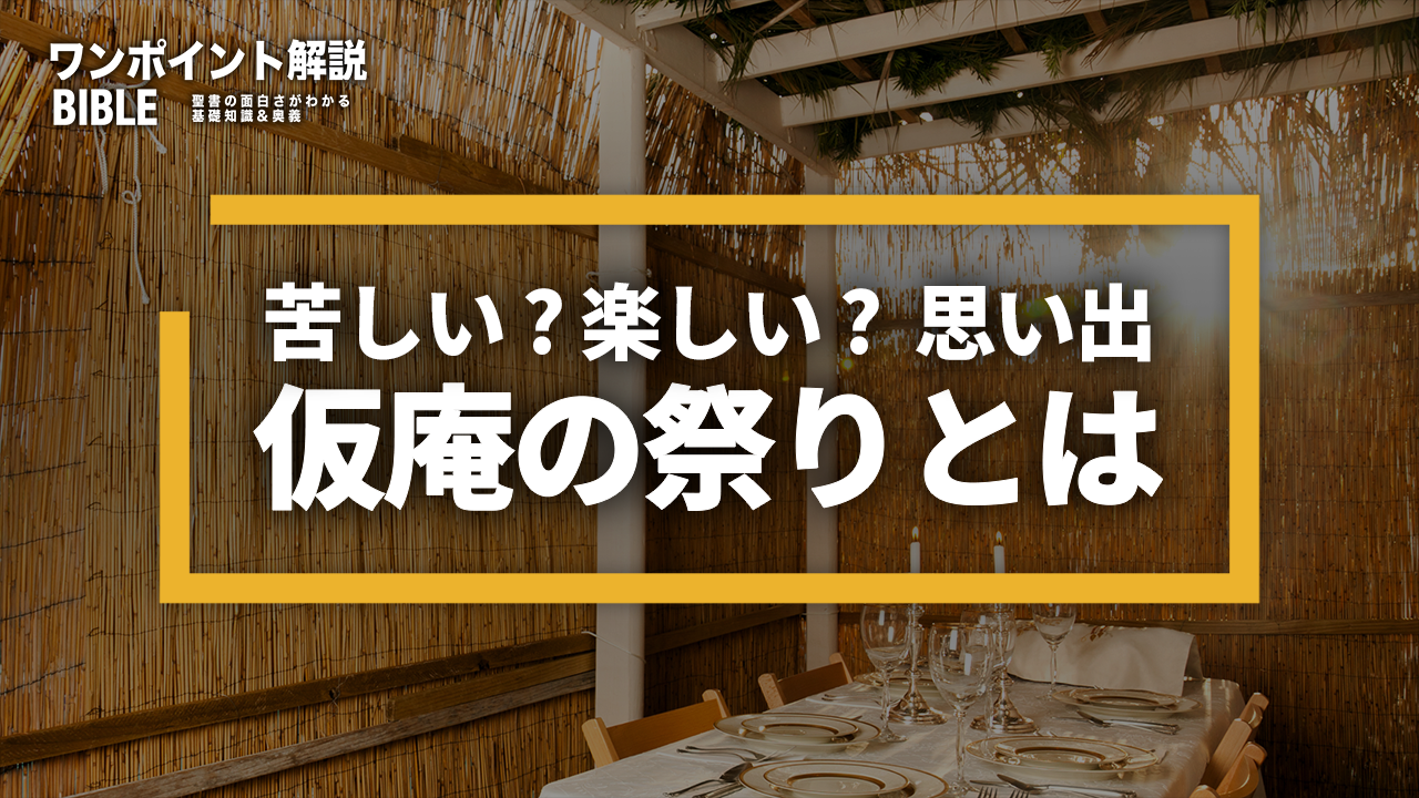 【ワンポイント解説】スコットとは